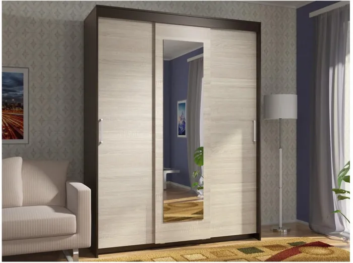 Шкаф-купе Эва ШК-017 1600 мм (Белый)