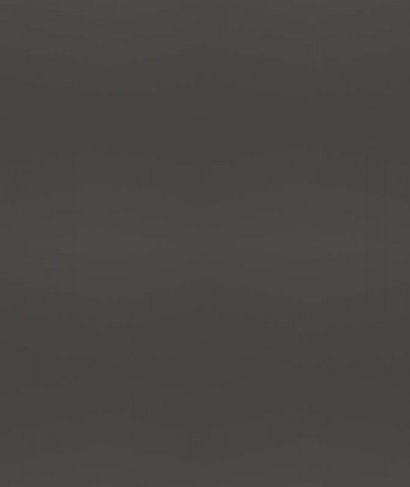 Ф-222 Альфа Фальшпанель (ШВТ 200*920) холст вулкан