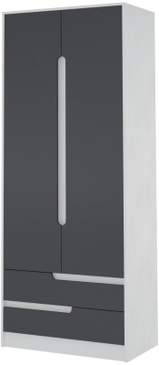 Шкаф 2-х створчатый Гавана, Белый/Графит серый