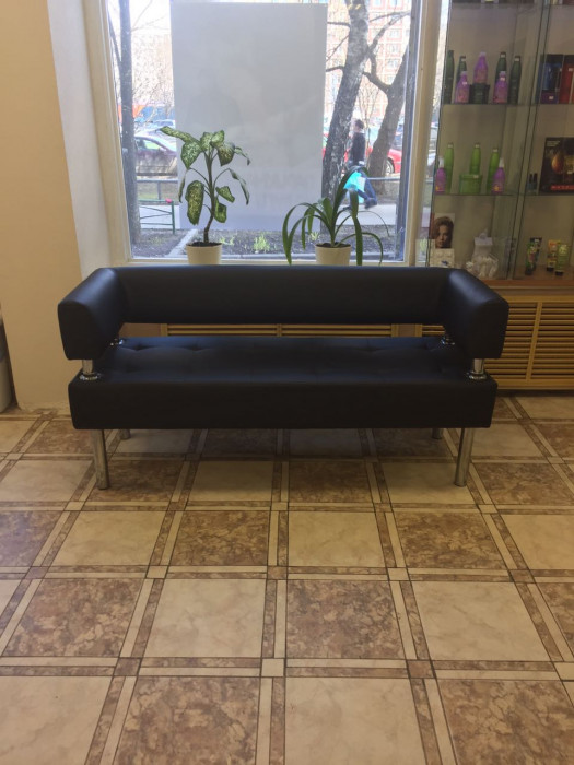 Диван business 1600х800х580 экокожа 10 цветов