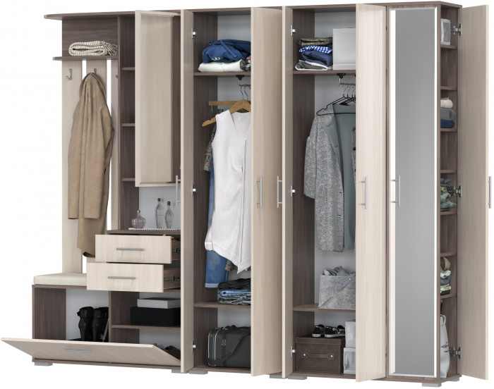 Прихожая Домино 6, цвет бодега тёмный/бодега светлый, ШхГхВ 248х36х202 см., универсальная сборка