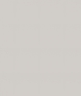 Ф-105 Альфа (ШВ 600, ШН 600, ШНМ 600) МДФ холст белый