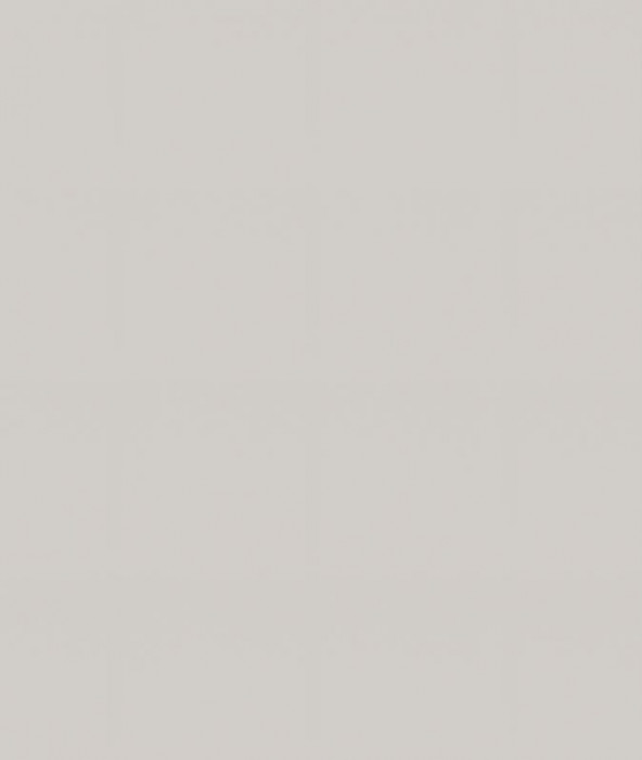 Ф-50 Альфа (ШВ 800, ШН 800) МДФ холст белый